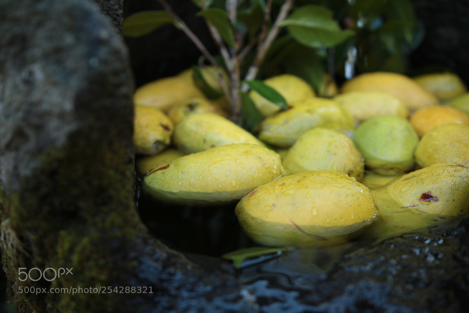 Canon EOS 70D sample photo. 暮らし - 冬 photography