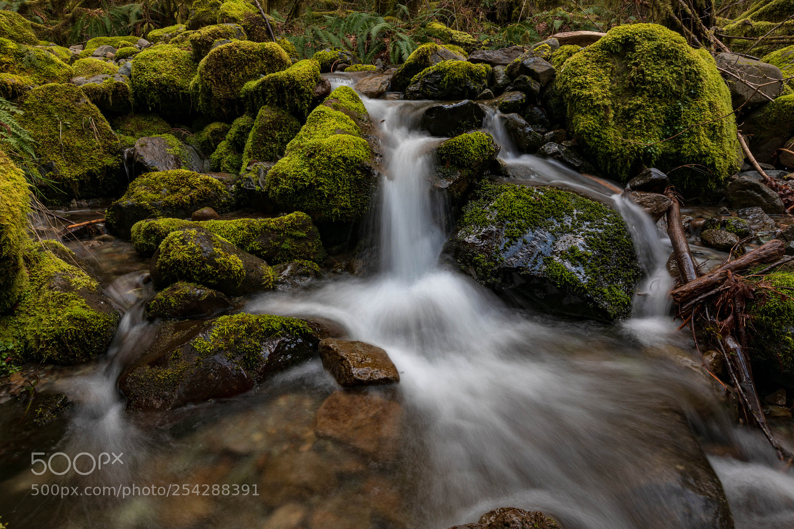 Canon EOS 5D Mark IV sample photo. Mystical falls closeup photography