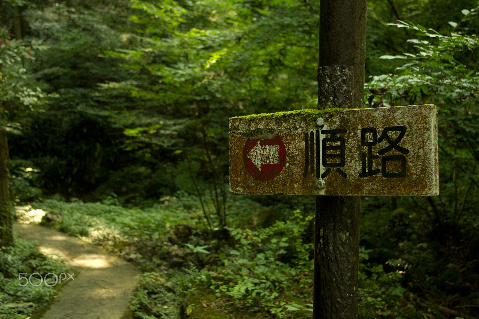 Pentax K-S1 sample photo. Signboard photography