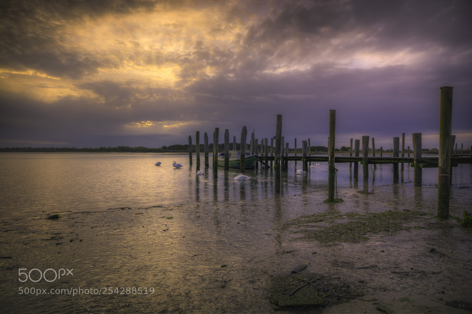 Nikon D7100 sample photo. Silence of the sunrise photography