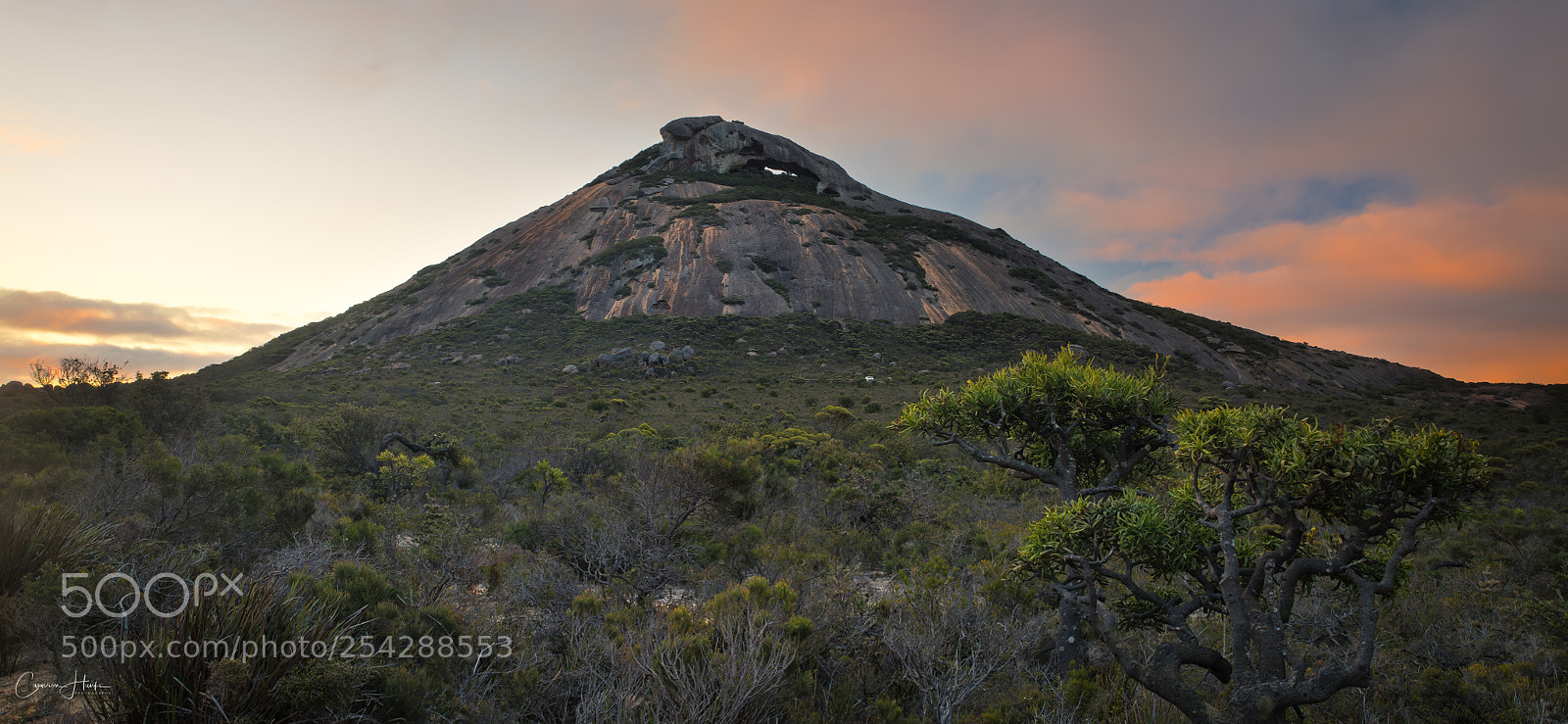 Nikon D850 sample photo. The peak photography
