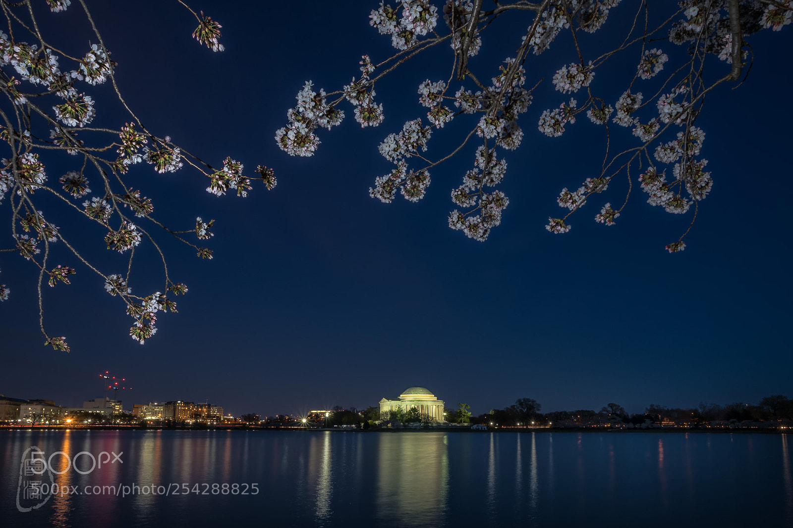 Canon EOS 5D Mark IV sample photo. Cherry blossoms photography