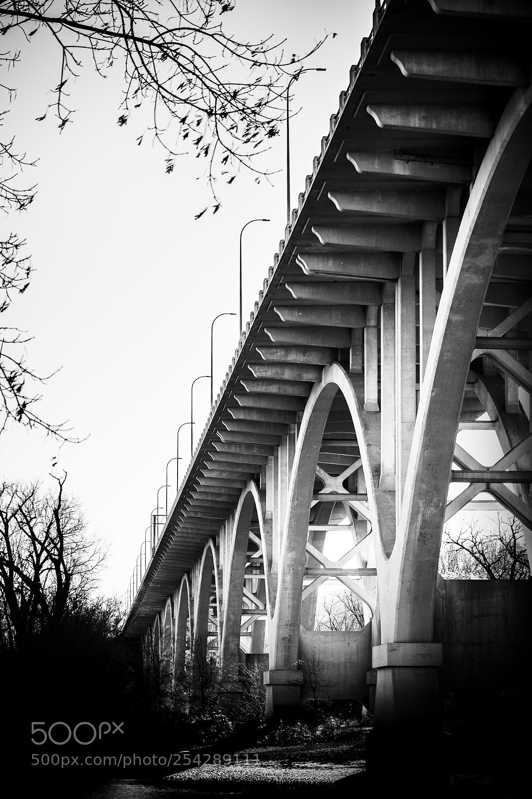 Nikon D7200 sample photo. Variations of the curve photography