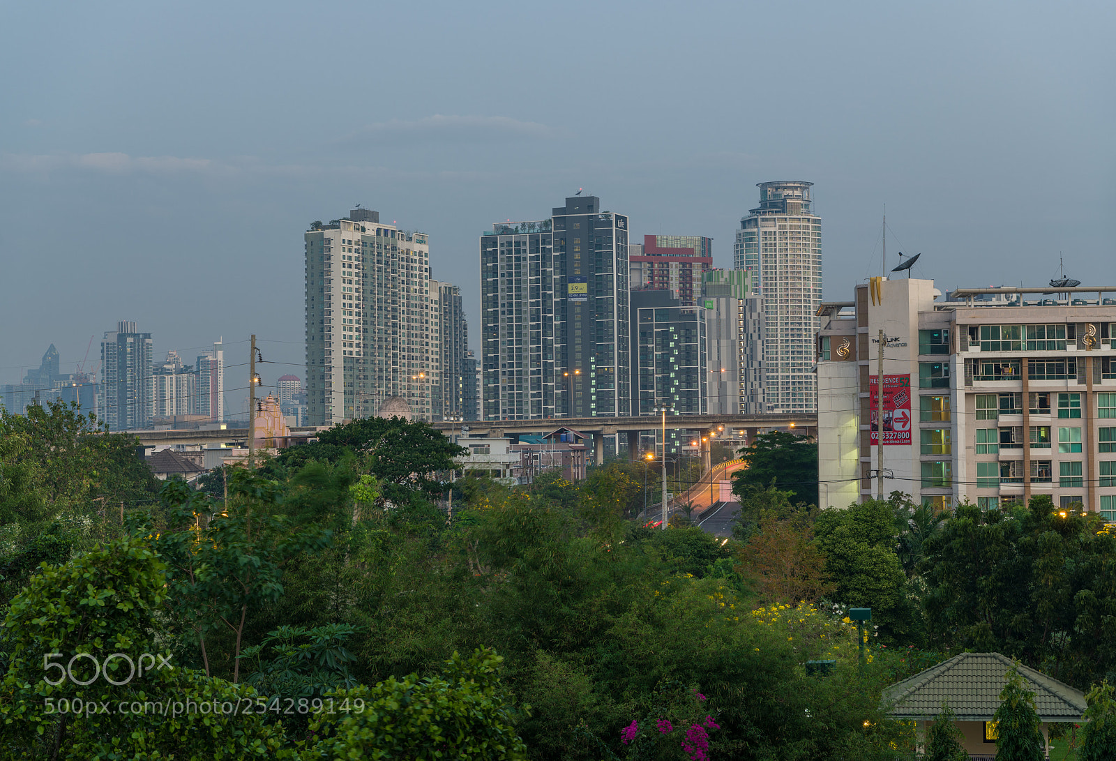 Nikon D850 sample photo. 01022018-_8502450.jpg photography