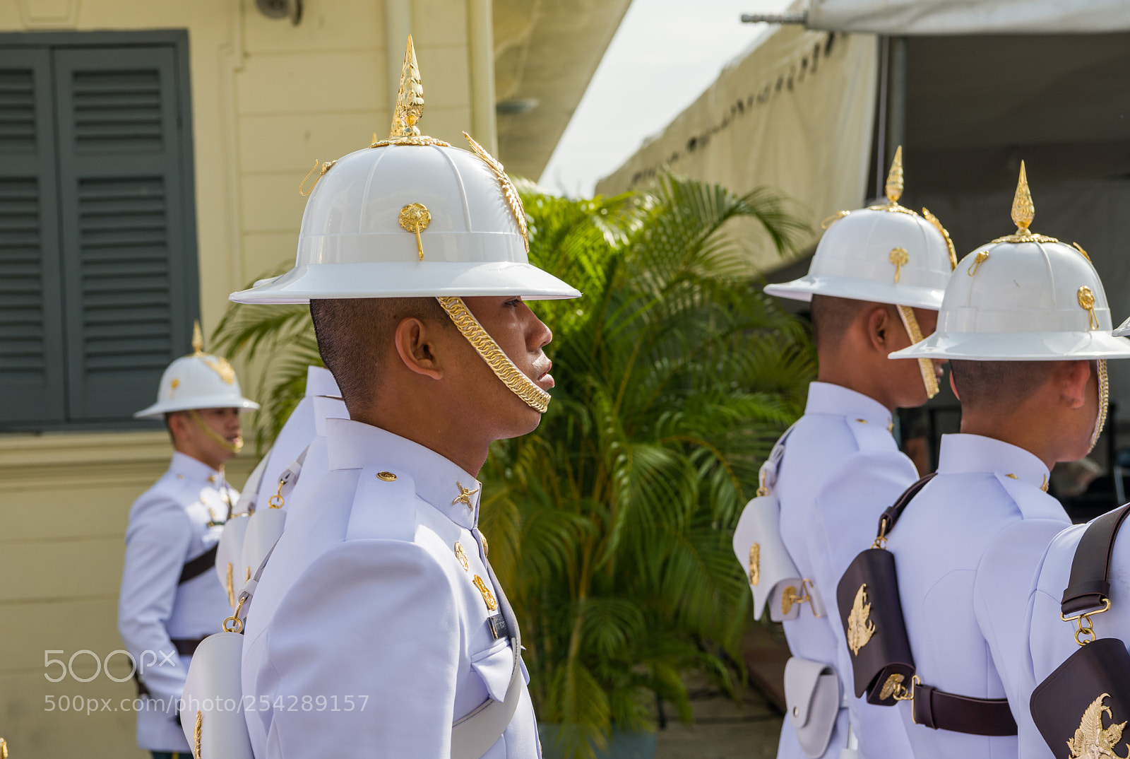 Nikon D850 sample photo. 01022018-_8502462.jpg photography