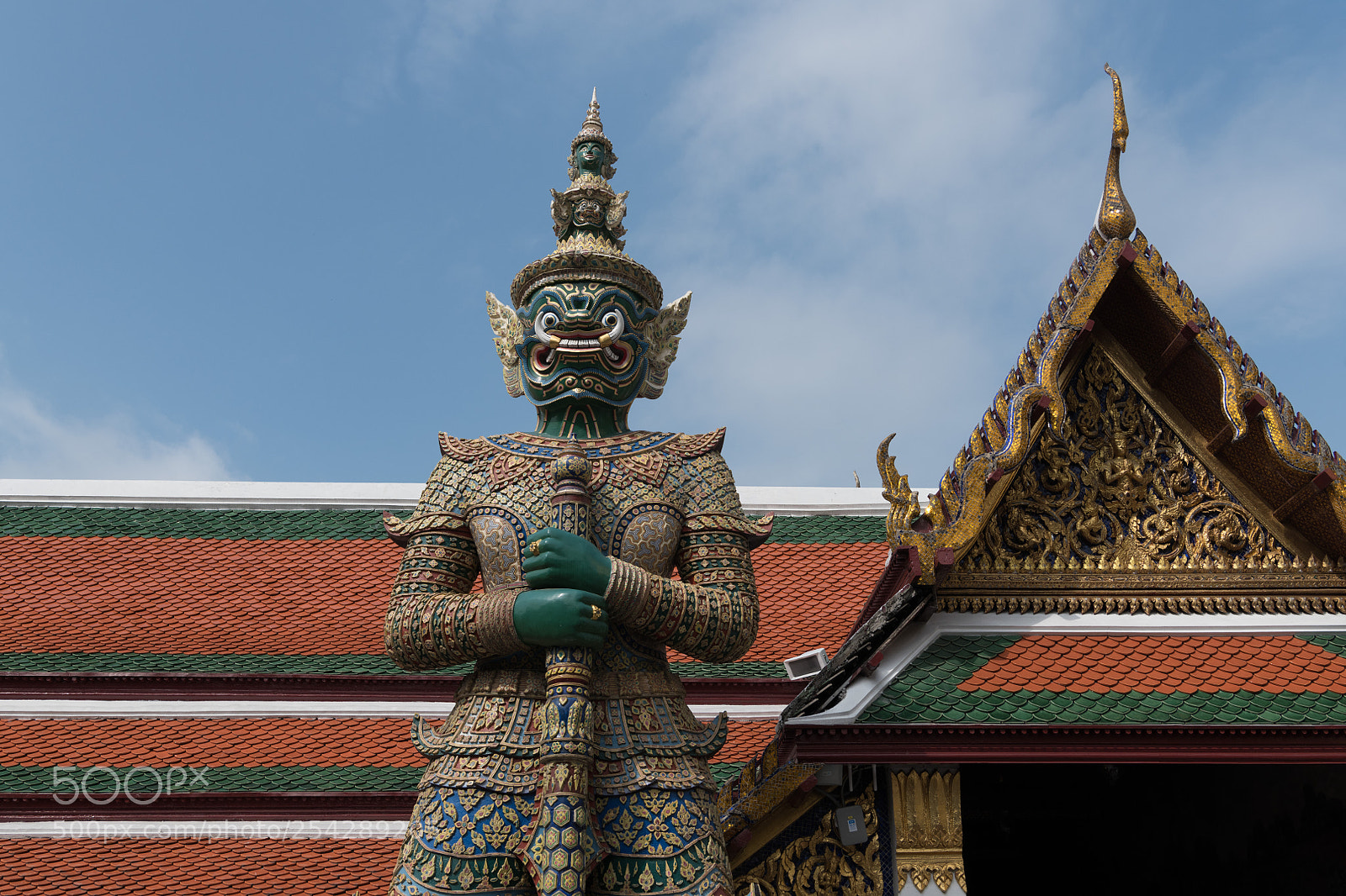 Nikon D850 sample photo. 01022018-_8502483.jpg photography