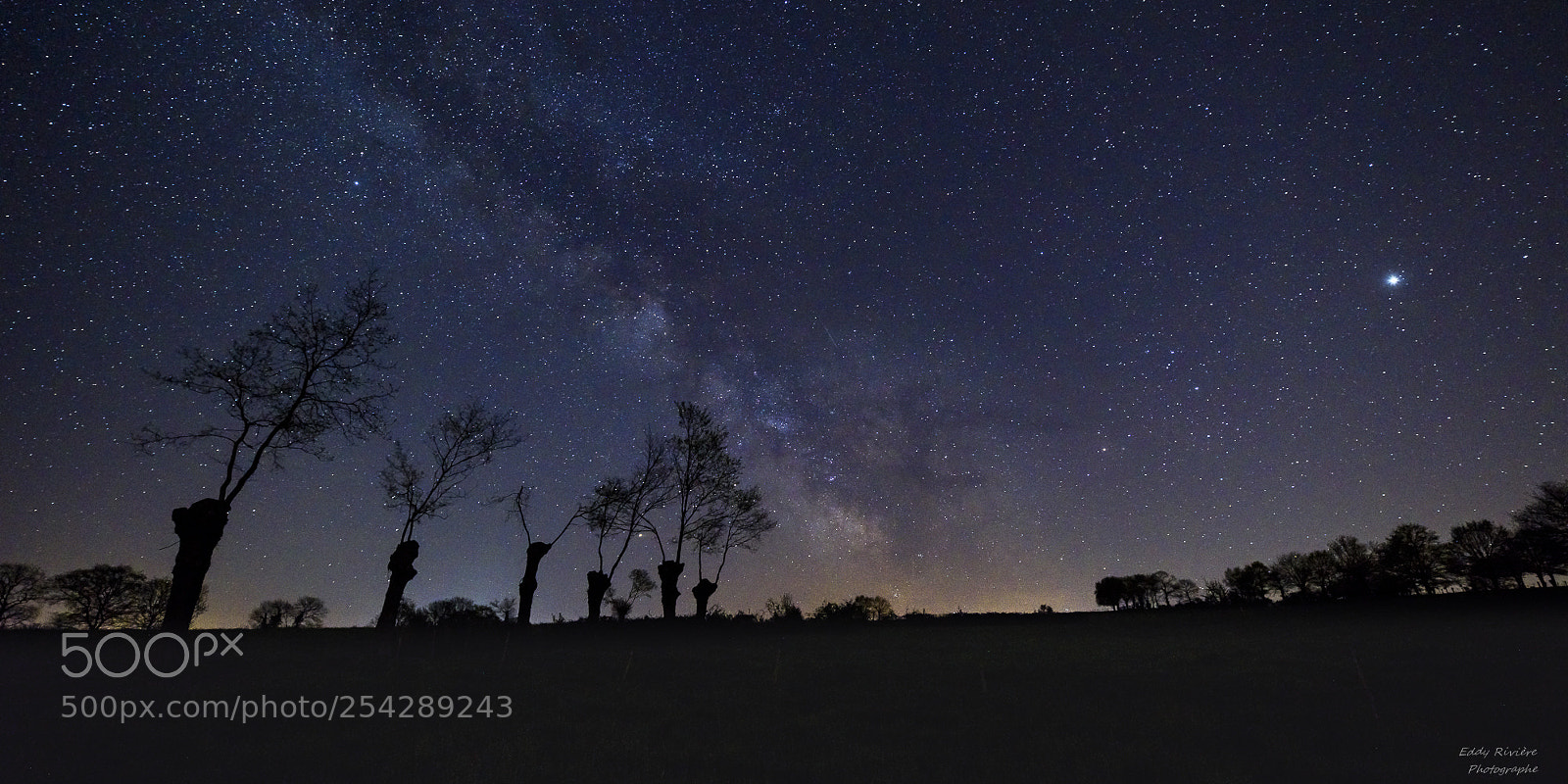 Nikon D810 sample photo. Listening to the owls 2 photography