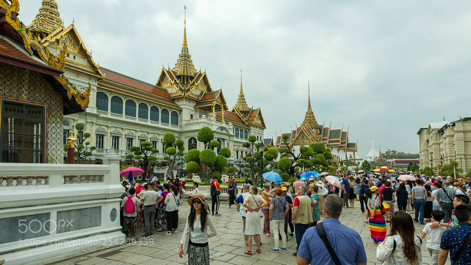 Nikon D850 sample photo. 01022018-_8502558.jpg photography
