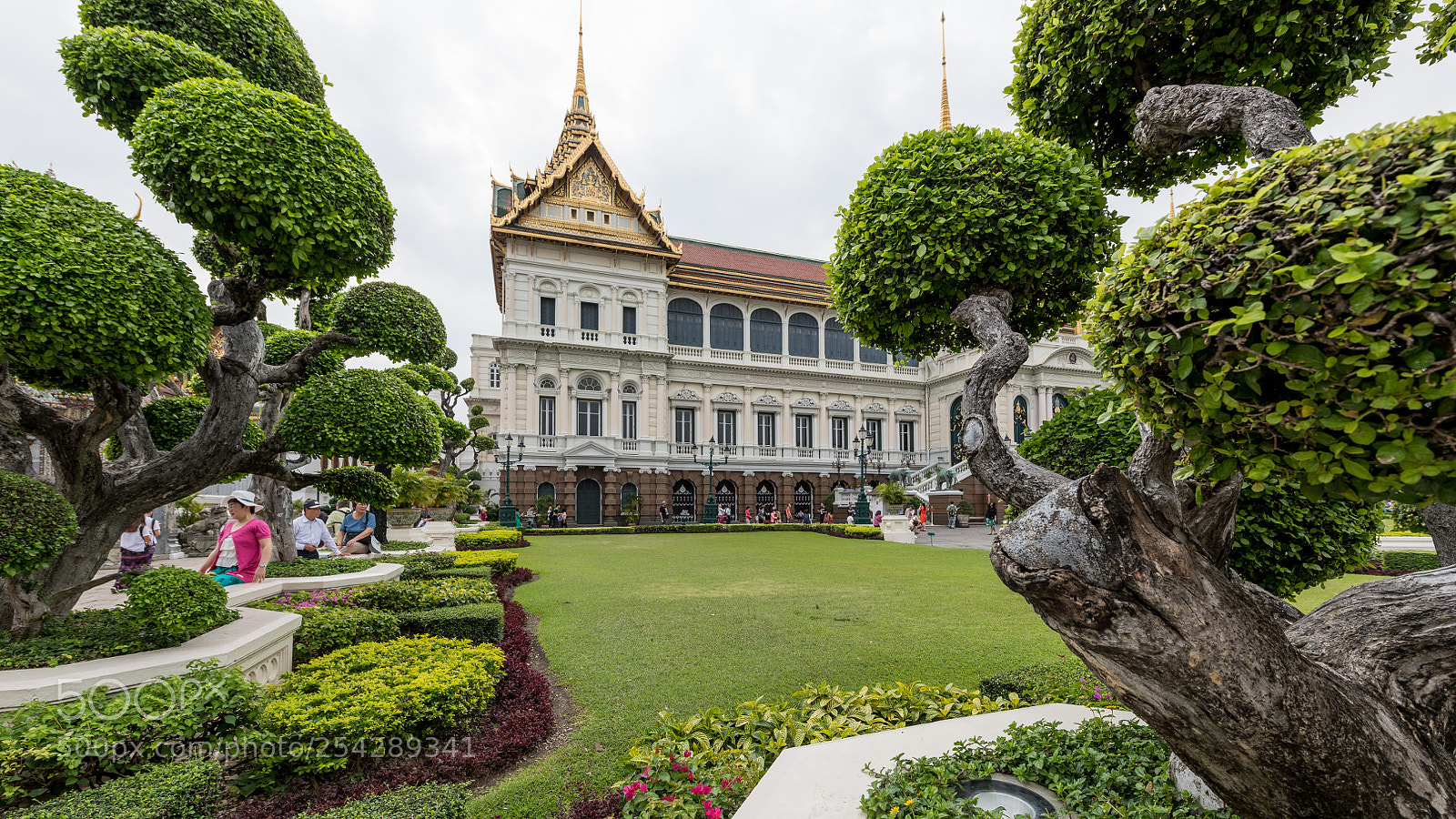 Nikon D850 sample photo. 01022018-_8502563.jpg photography