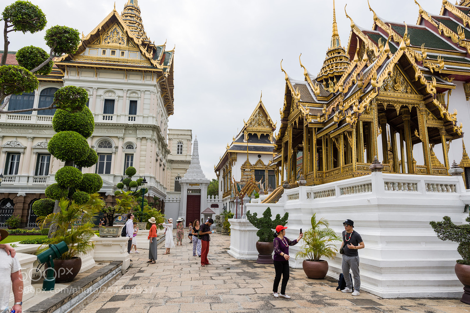 Nikon D850 sample photo. 01022018-_8502575.jpg photography