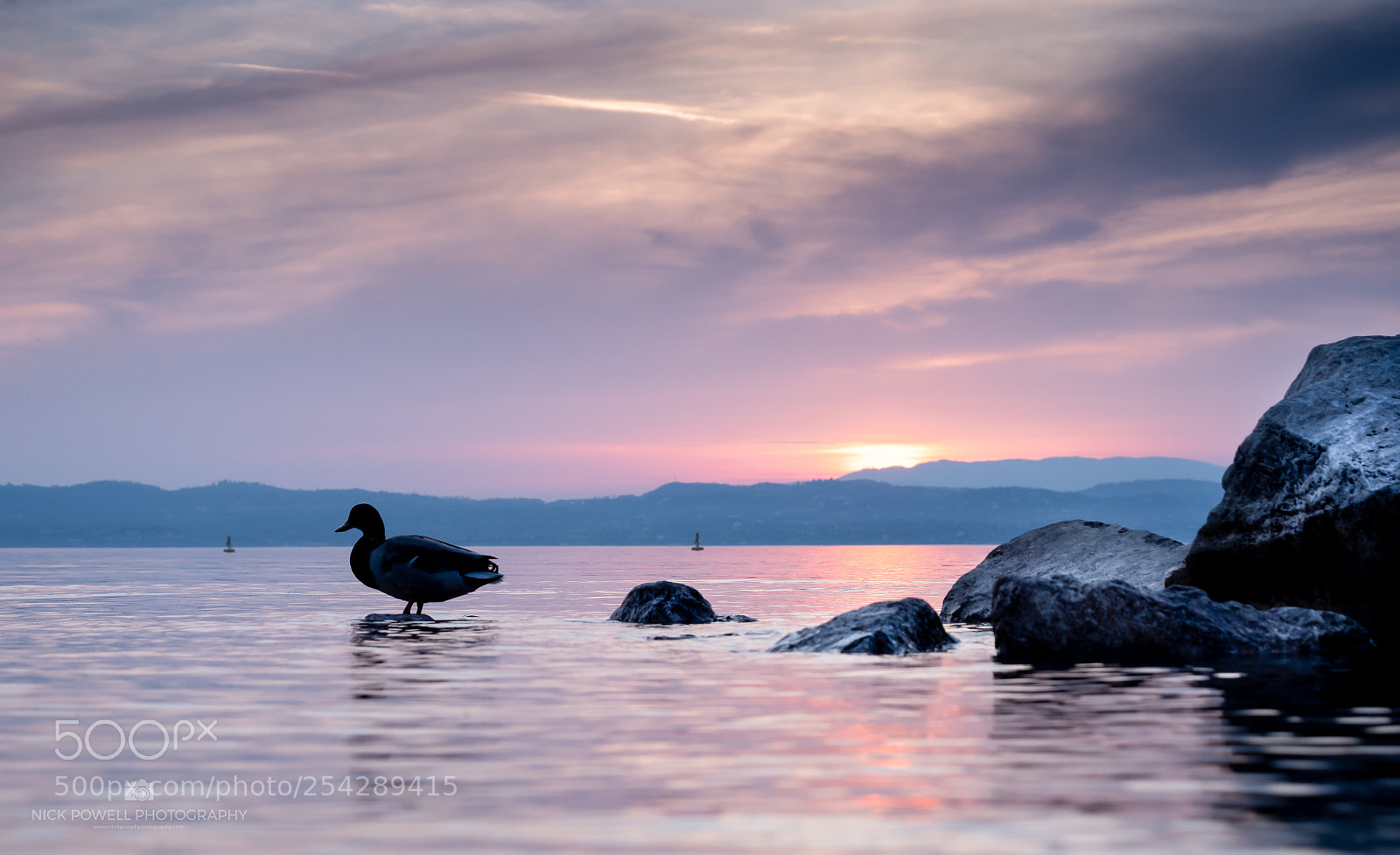 Panasonic Lumix DC-G9 sample photo. Quacking sunset! photography