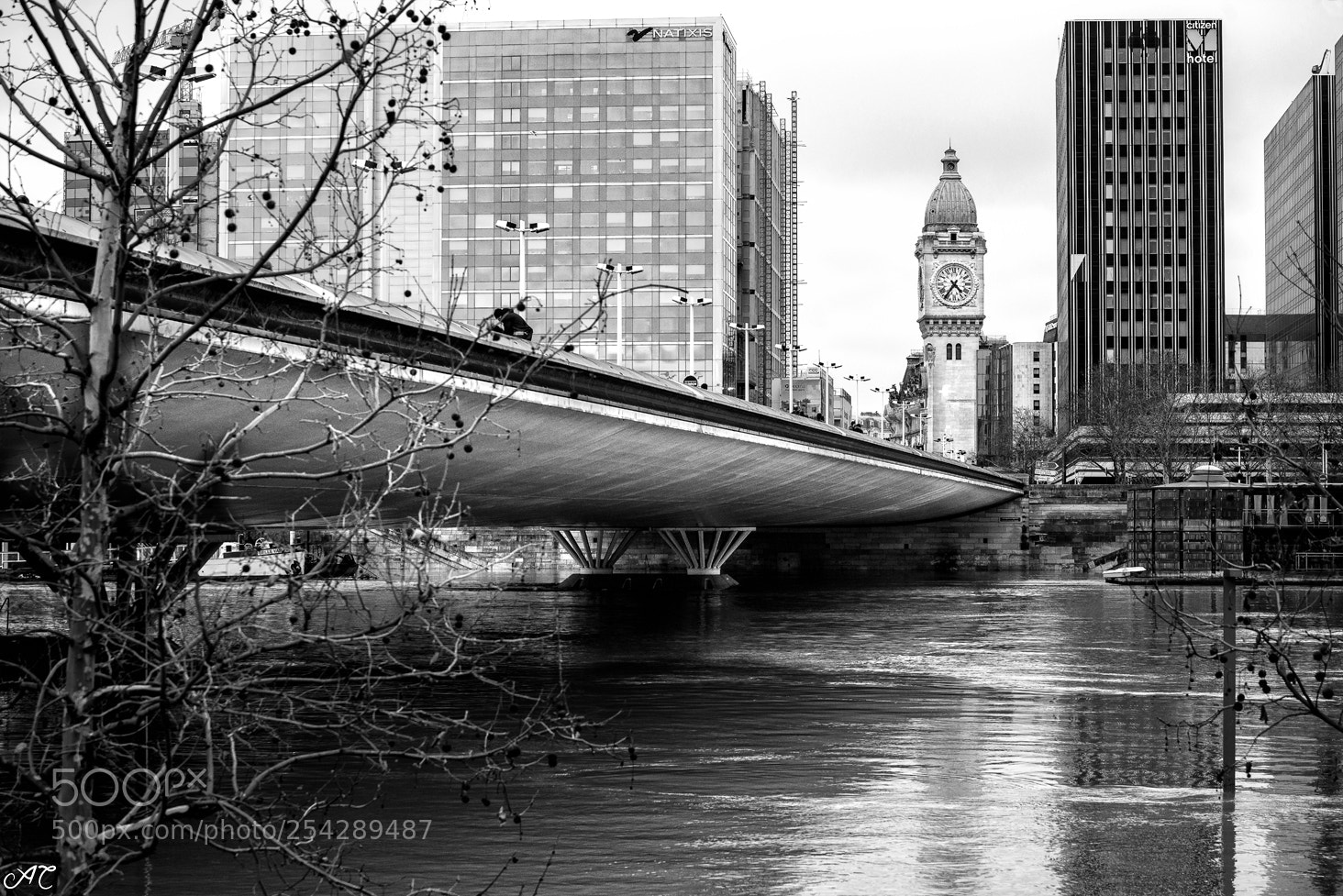 Nikon D800 sample photo. Paris flood photography