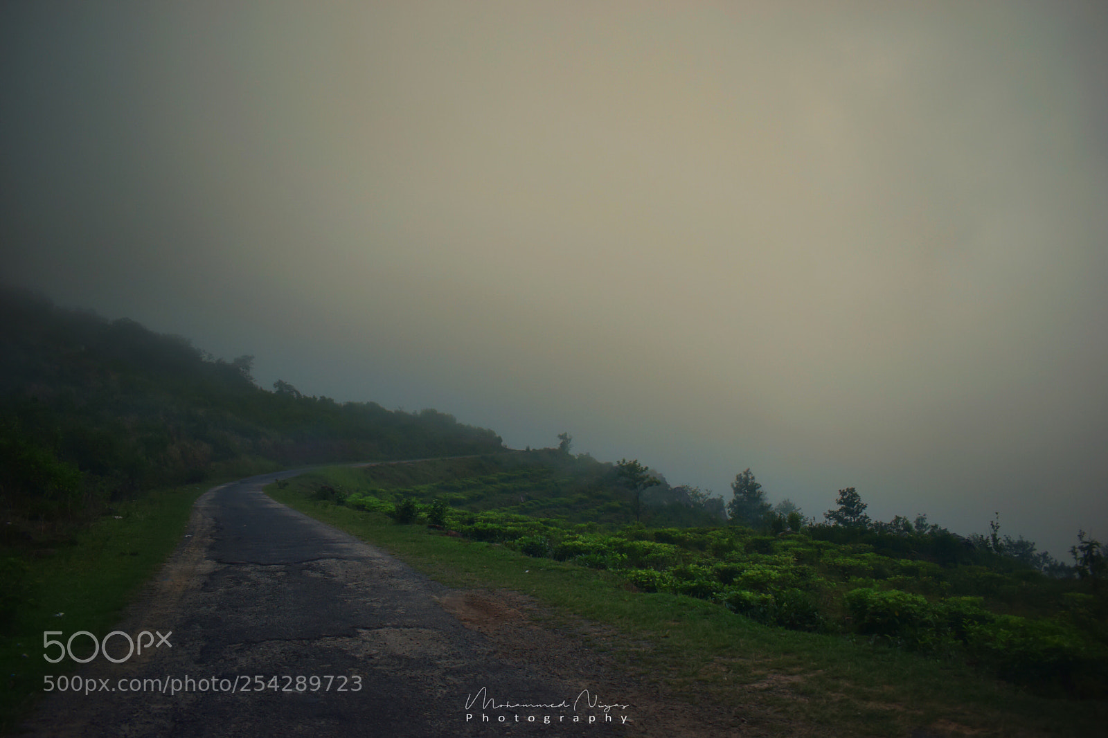 Nikon D5300 sample photo. Hill side photography