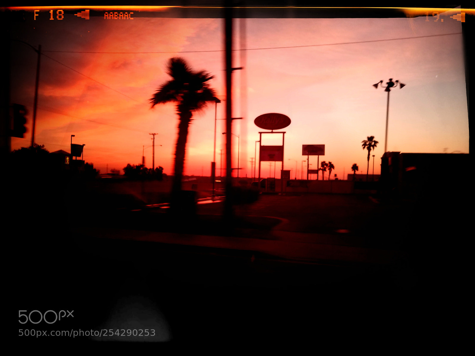 Samsung Galaxy S7 sample photo. Morning palms photography