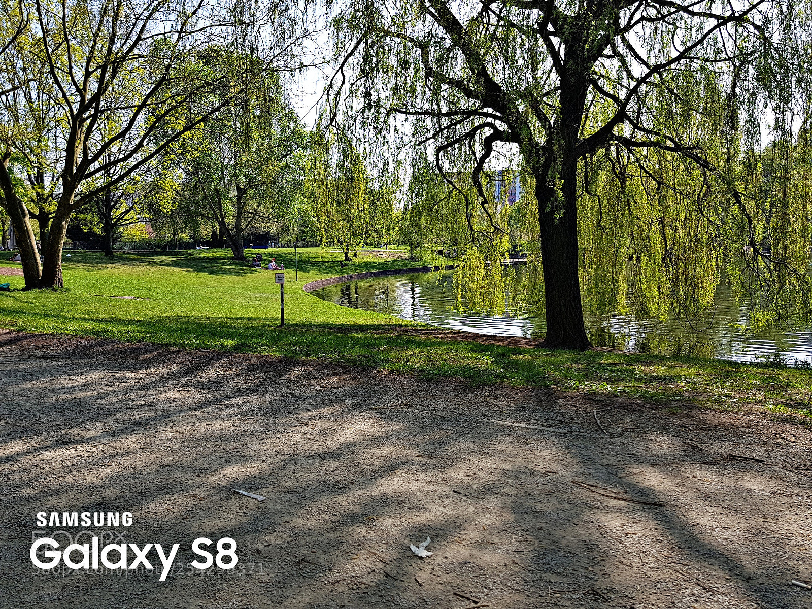 Samsung Galaxy S8 sample photo. Untitled photography