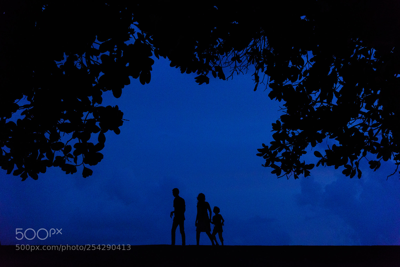 Nikon D810 sample photo. Family together photography