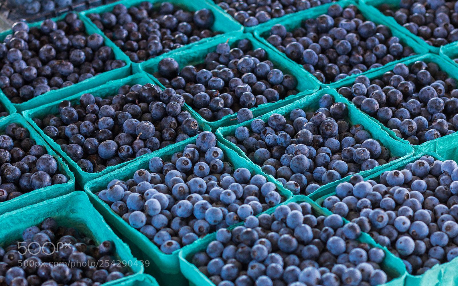 Canon EOS 60D sample photo. Blueberries at a produce photography