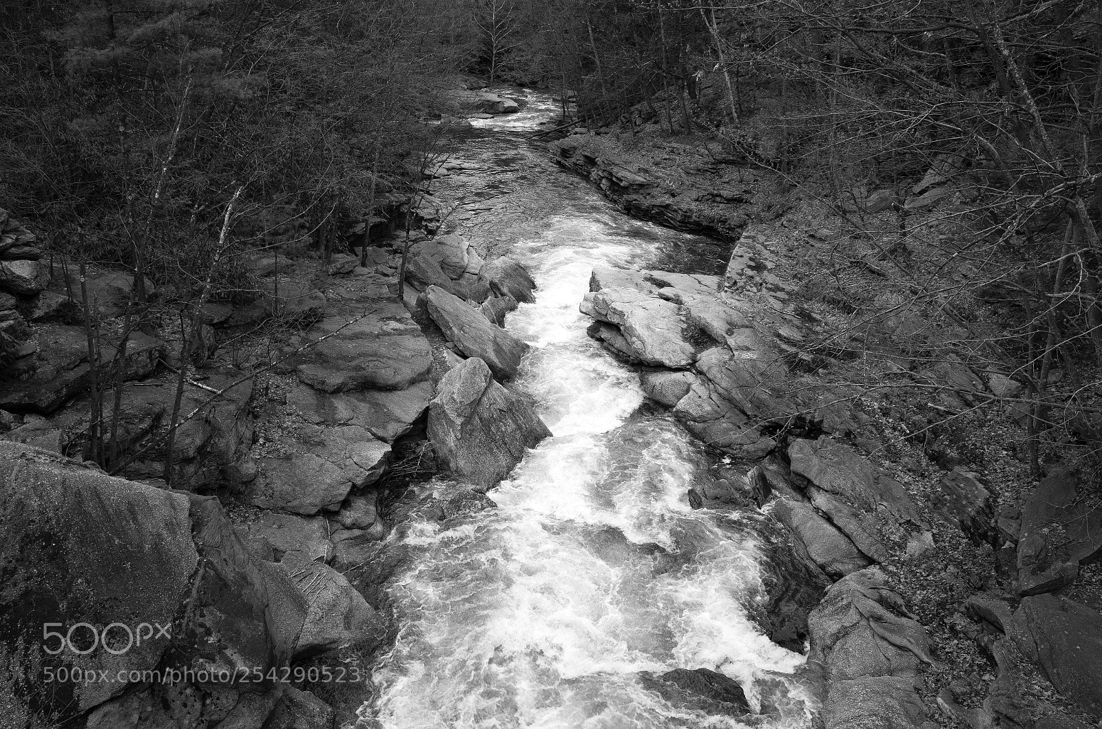 Ricoh GR sample photo. The lackawanna river photography