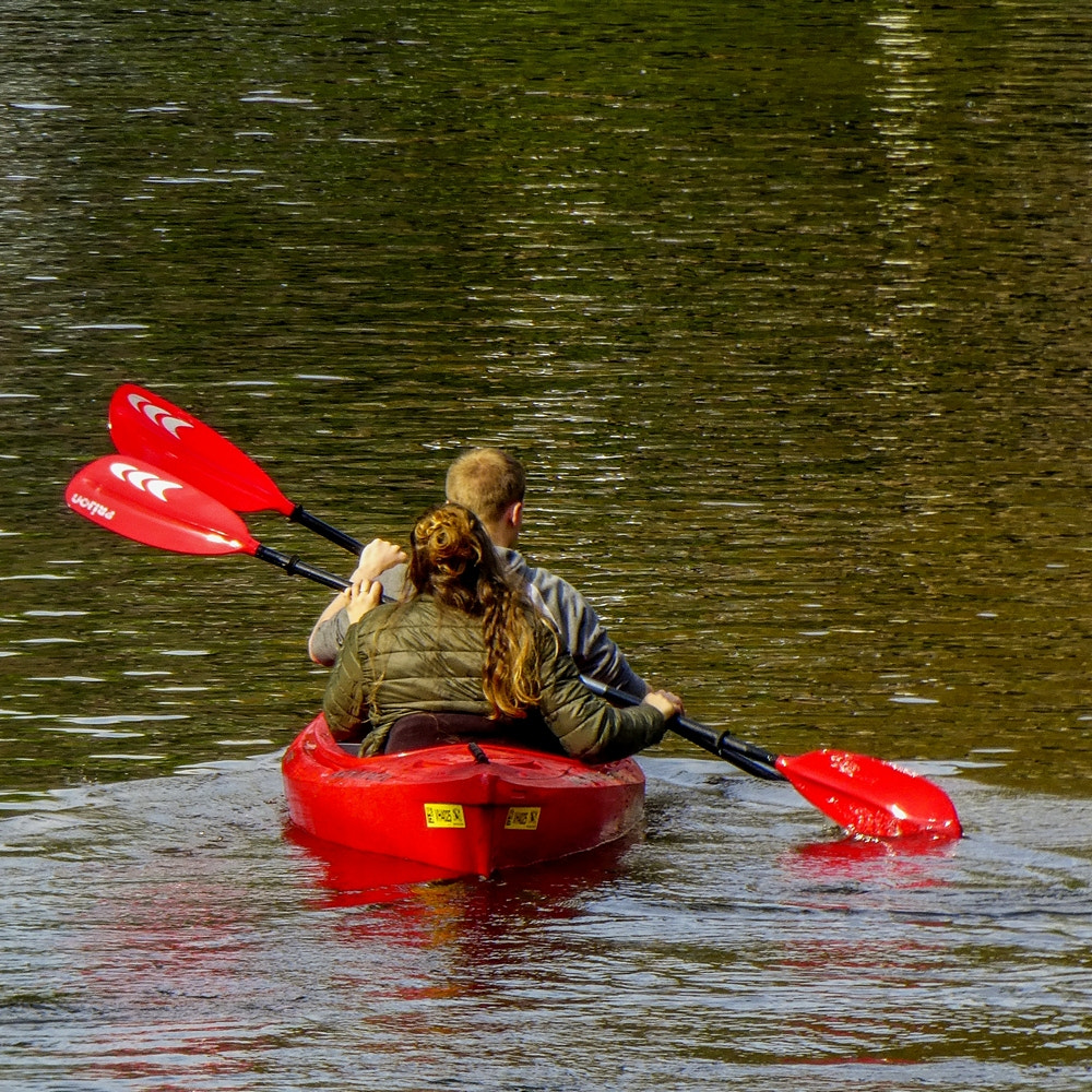 Panasonic Lumix DMC-ZS60 (Lumix DMC-TZ80) sample photo. Rowing on a canal on a lazy sunday afternoon photography