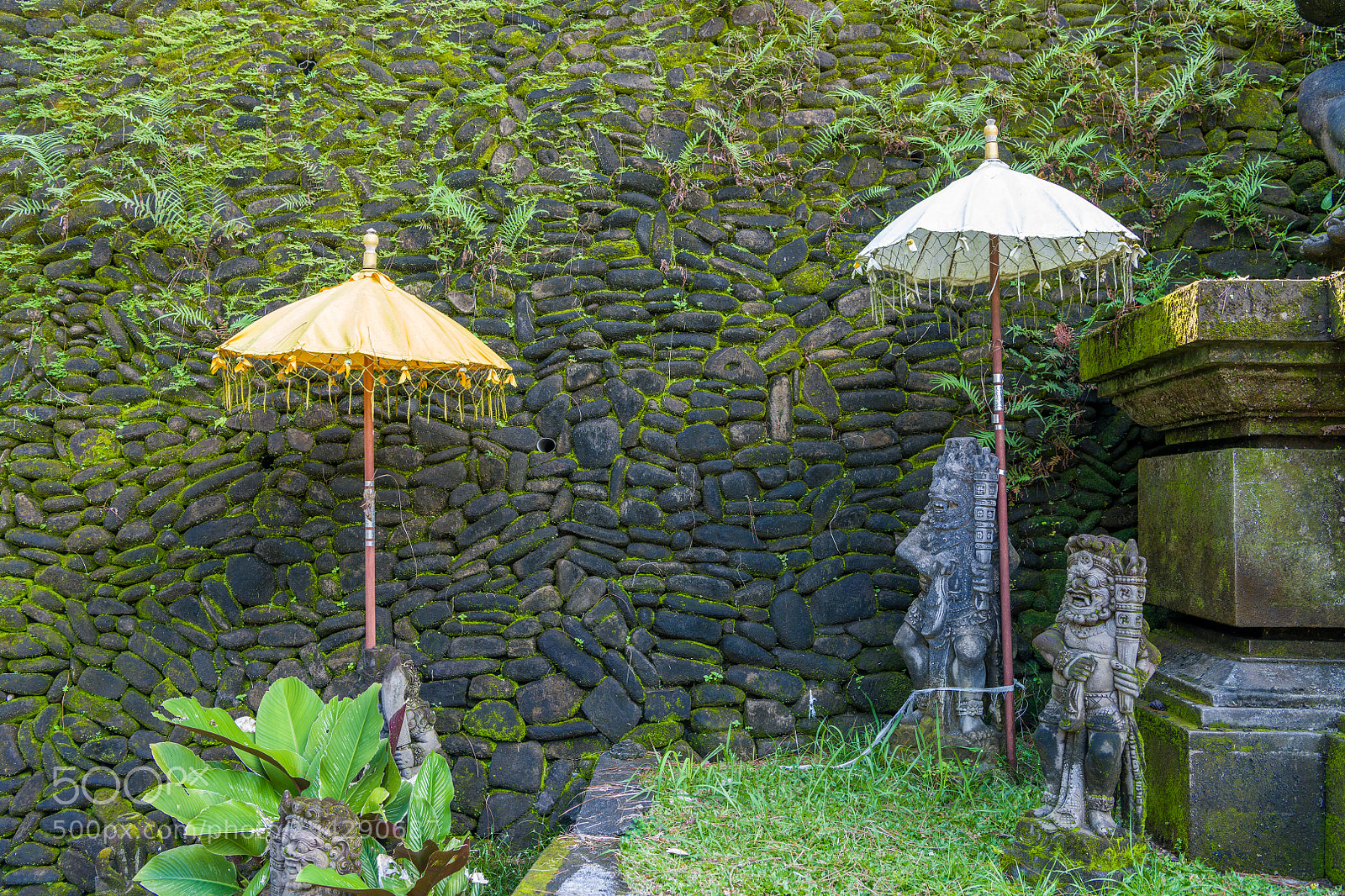Nikon D850 sample photo. 04022018-_8502792.jpg photography