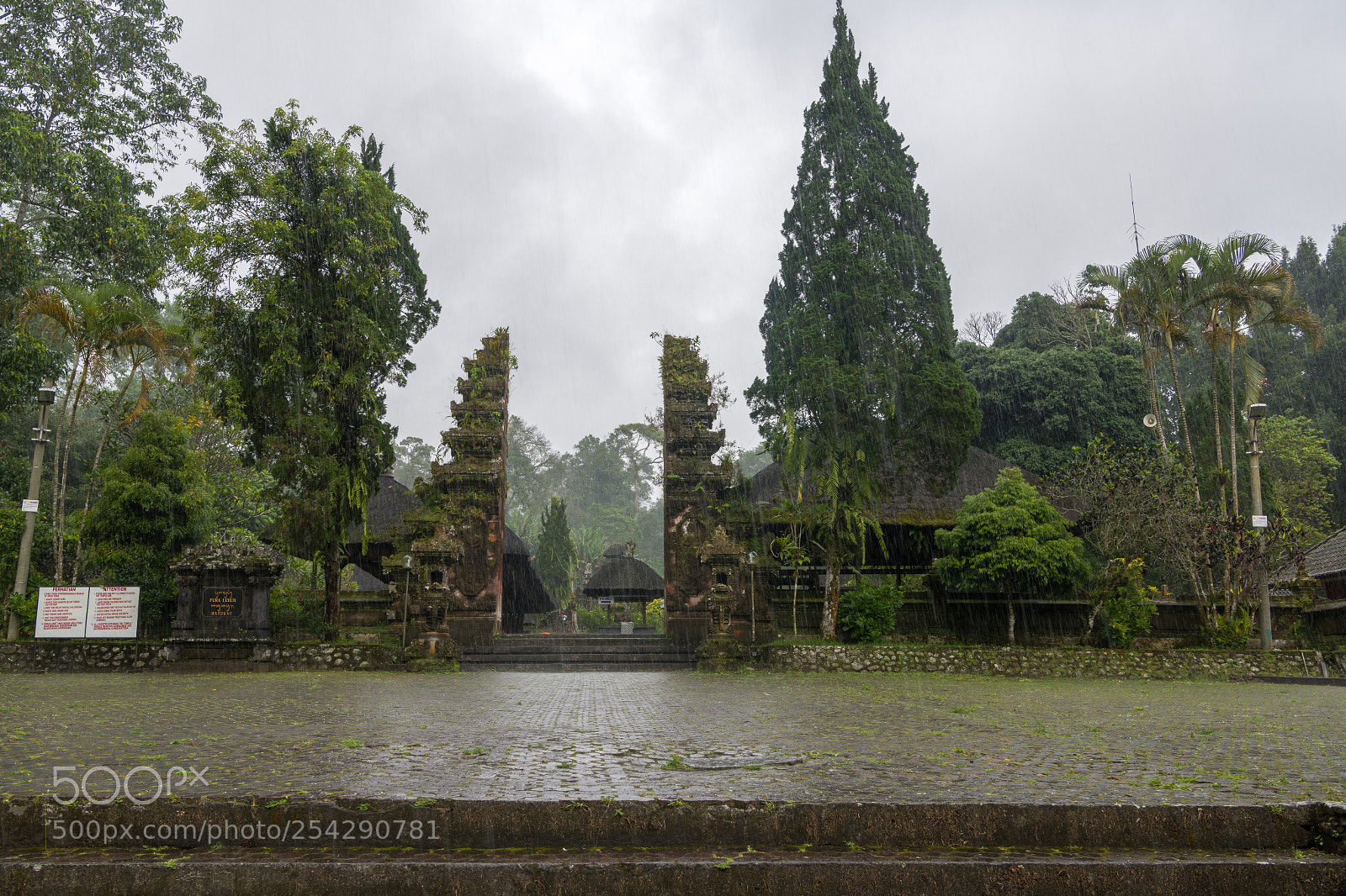 Nikon D850 sample photo. 08022018-_8503145.jpg photography