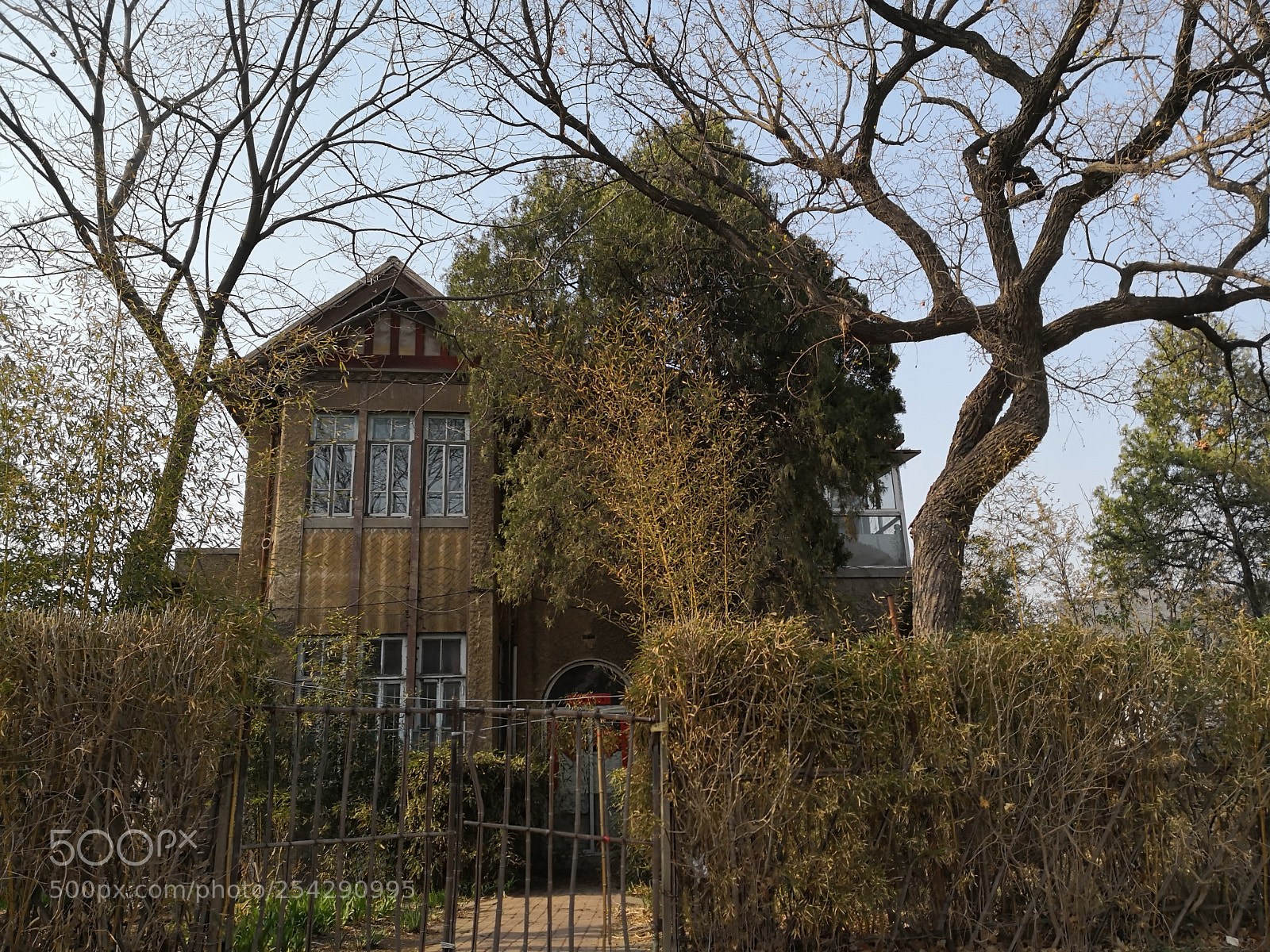 HUAWEI Mate 10 sample photo. Untitled photography