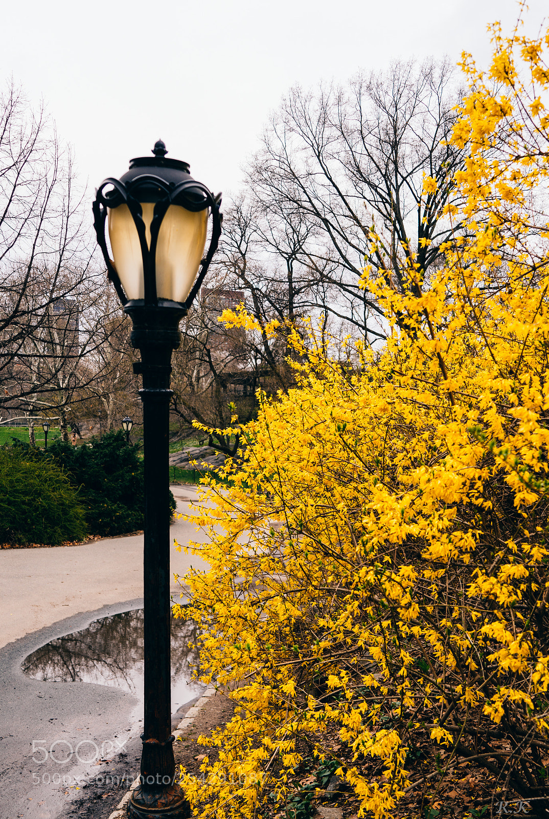 Sony a7R sample photo. The light of your photography