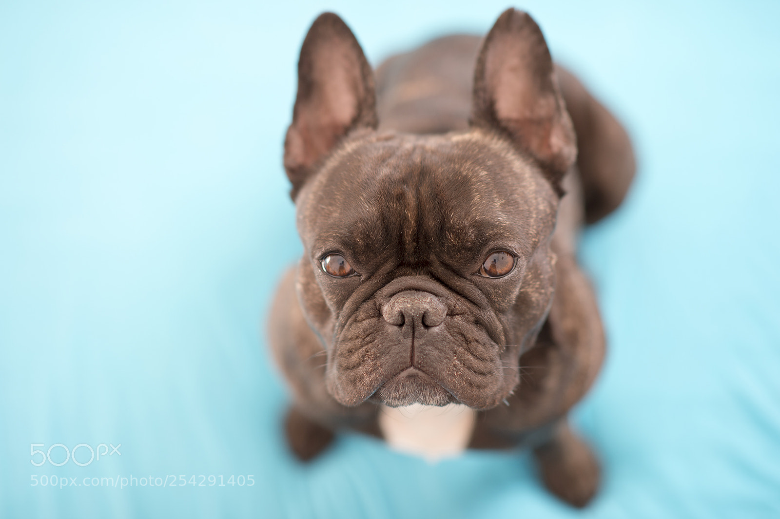 Nikon Df sample photo. Baldoslav photography