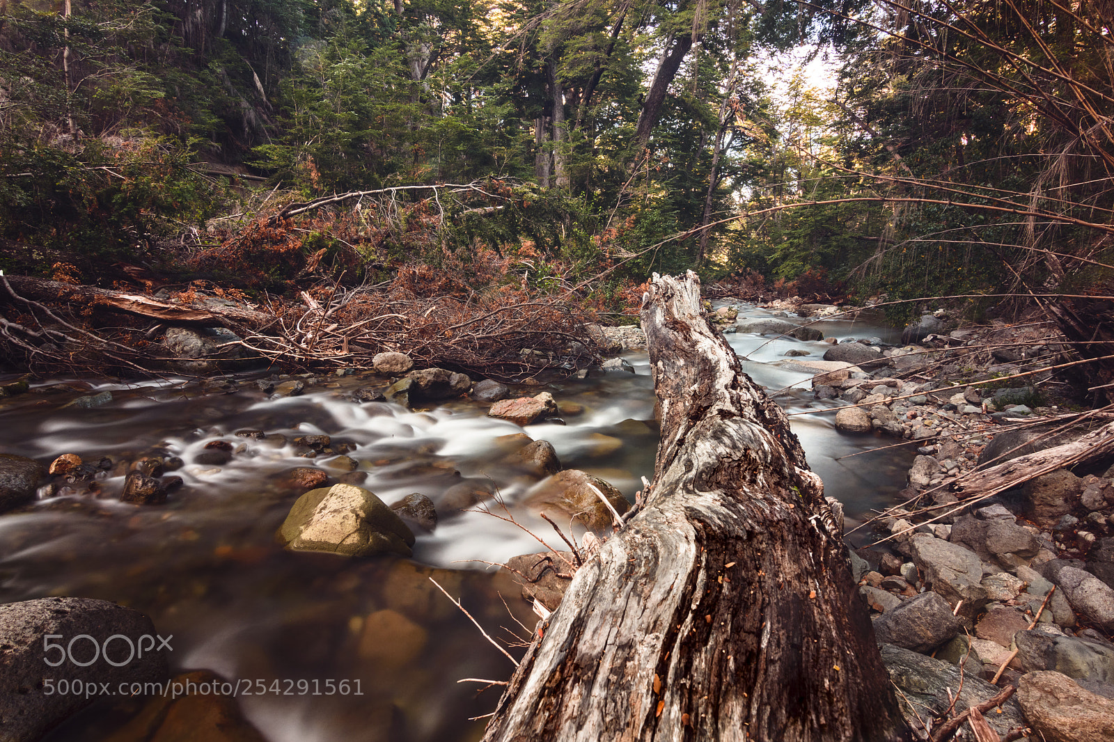 Nikon D7200 sample photo. Nature in long exposure photography