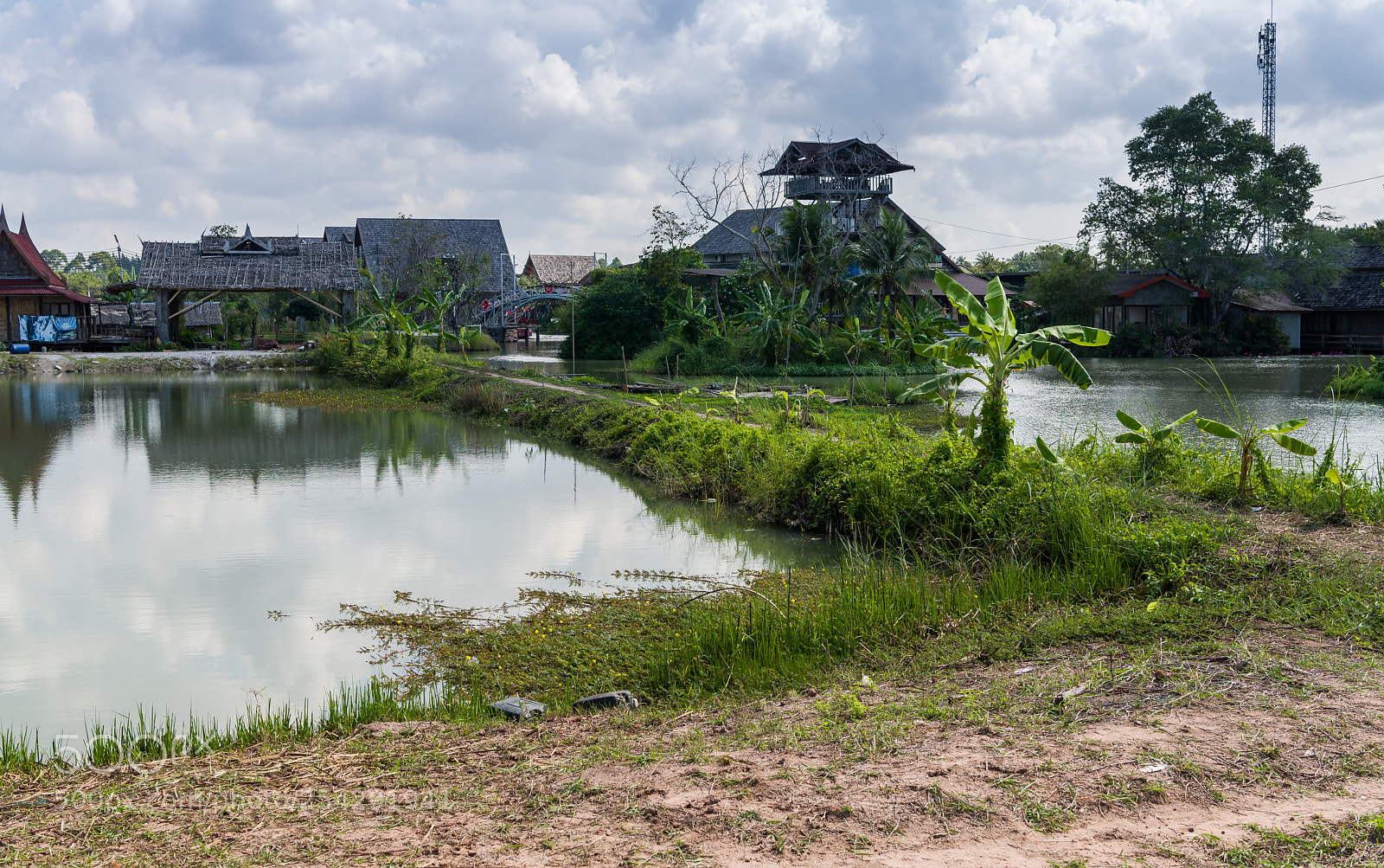 Nikon D850 sample photo. 30012018-_8502221.jpg photography