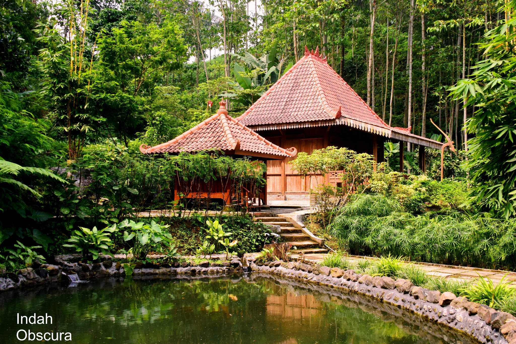Nikon D5500 sample photo. Ioi bushland retreat photography