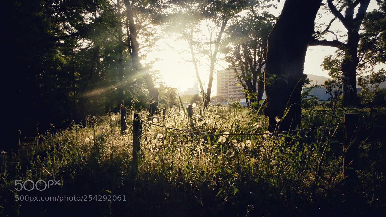 Nikon Coolpix A900 sample photo. Sunset view photography