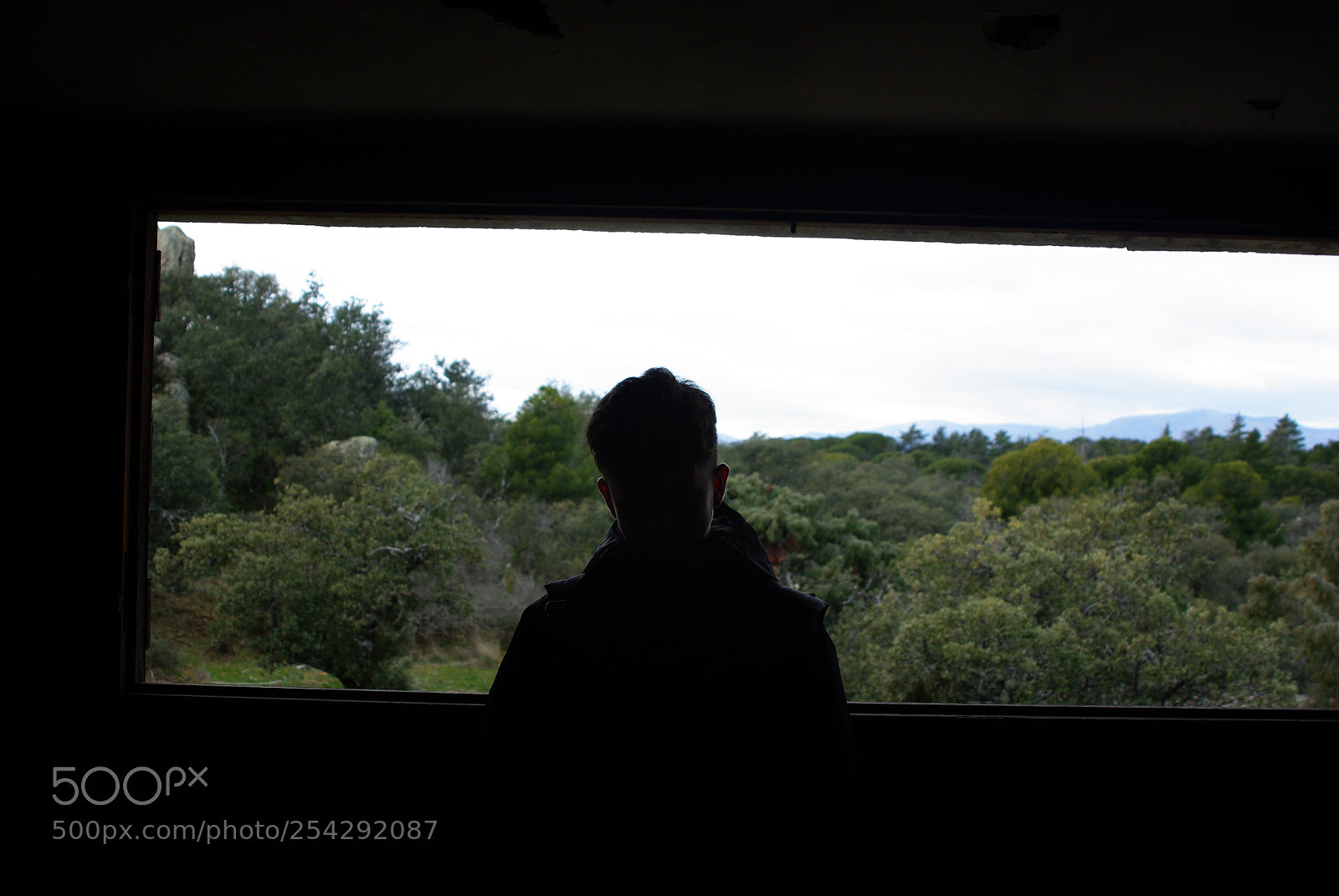 Pentax K10D sample photo. Untitled photography