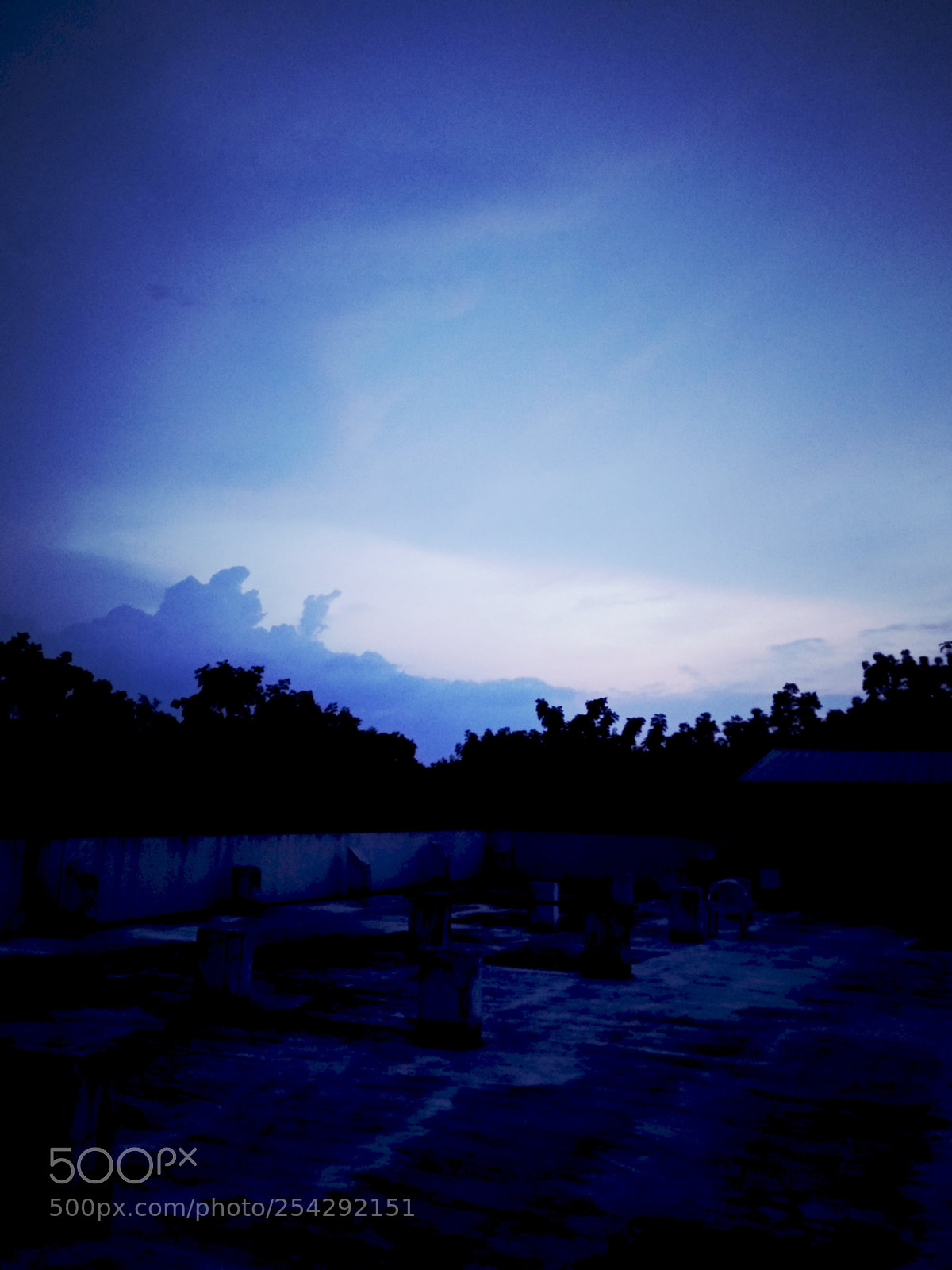 Xiaomi Mi A1 sample photo. Untitled photography