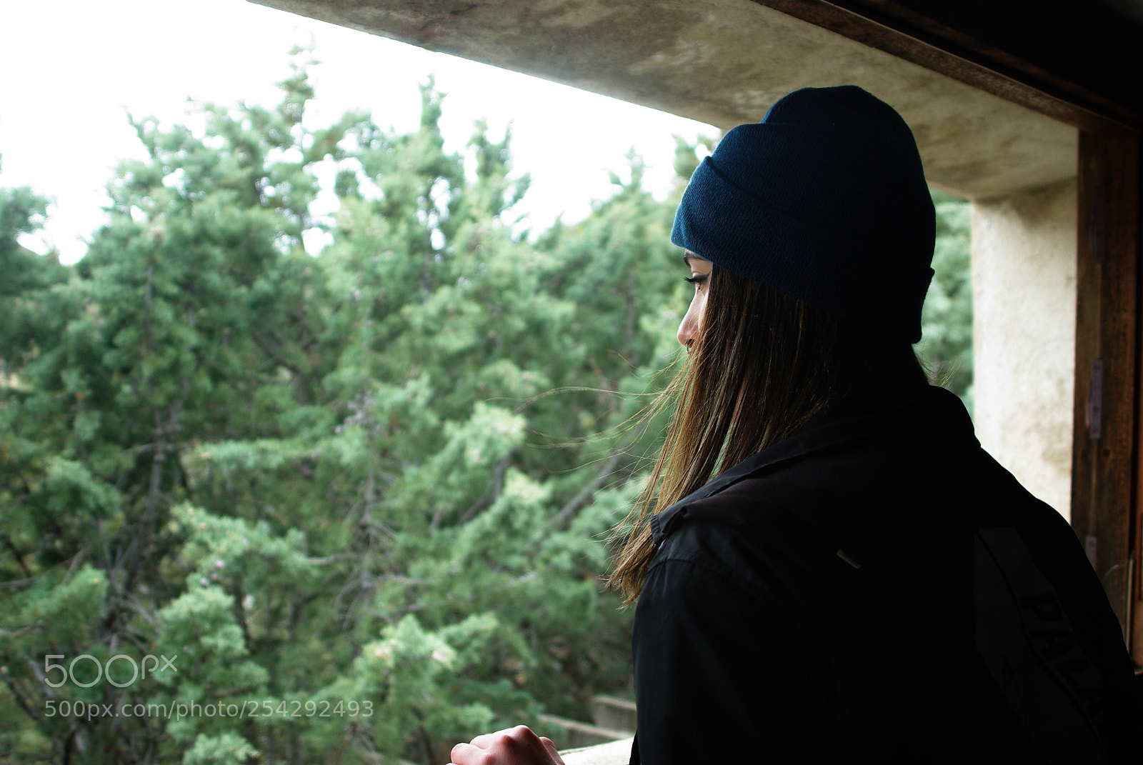 Pentax K10D sample photo. Untitled photography