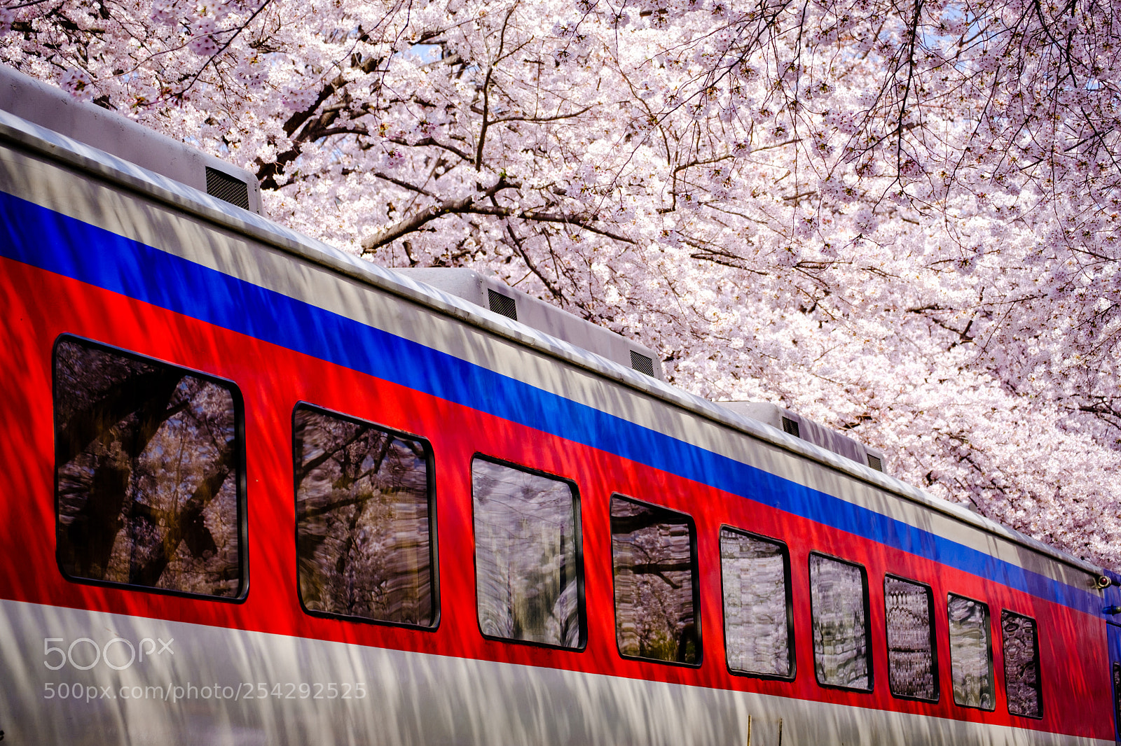 Fujifilm X-T20 sample photo. Flower on train photography