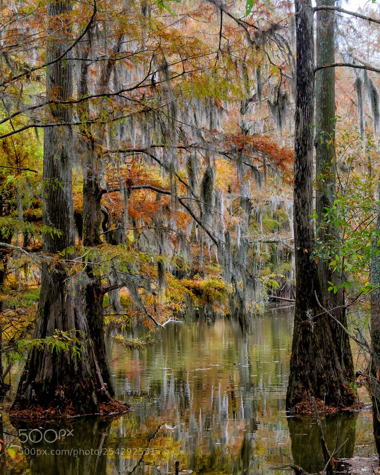 Nikon D7100 sample photo. Fall reflection photography