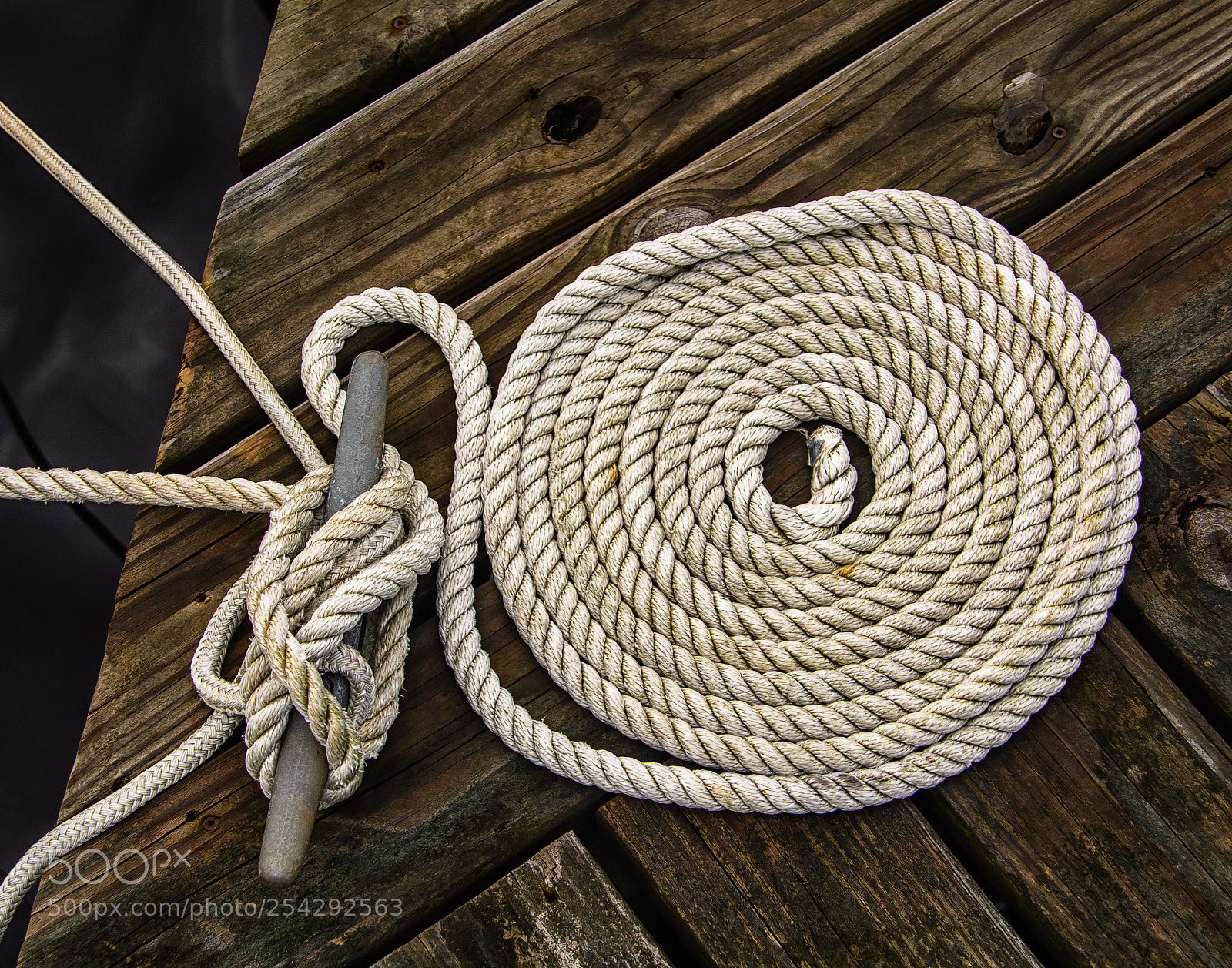 Nikon D7100 sample photo. Coiled photography