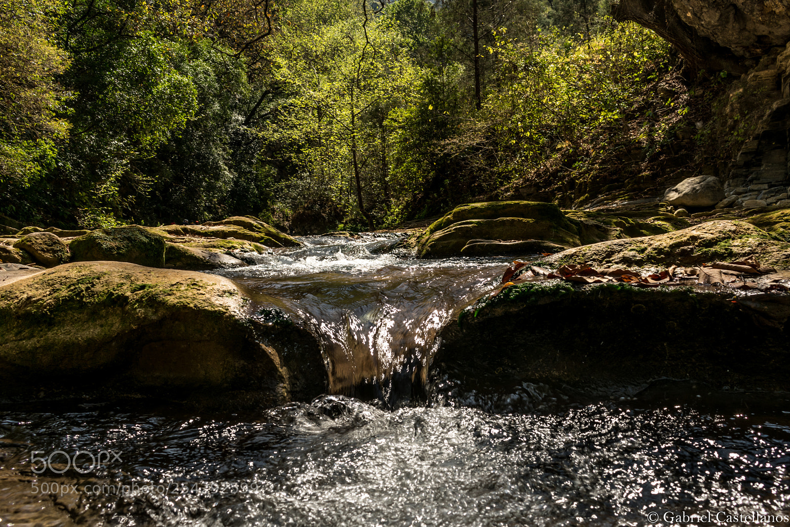 Nikon D3400 sample photo. Rio photography