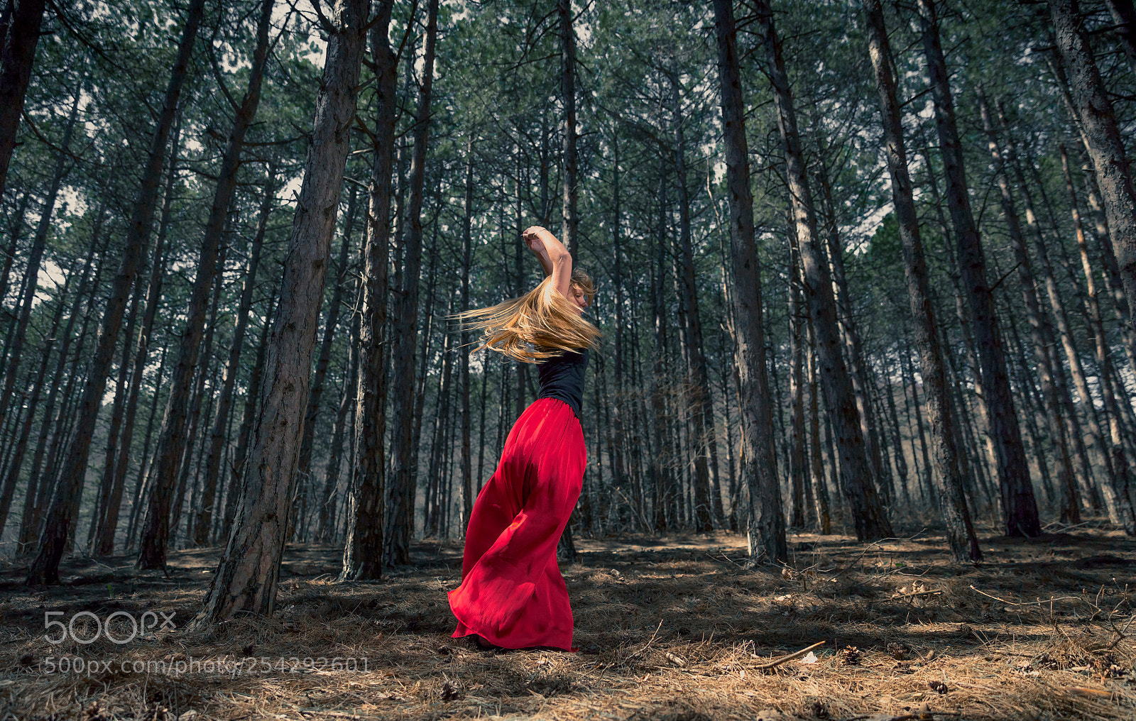 Canon EOS 5DS R sample photo. Dance alone photography