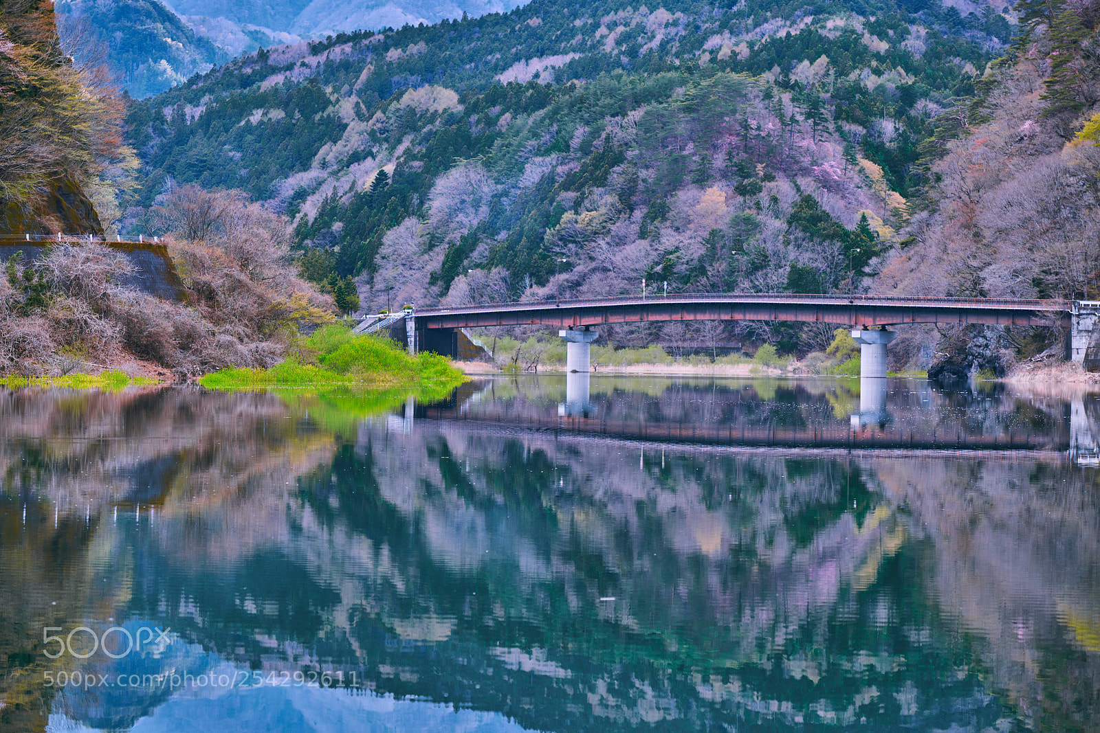 Nikon D850 sample photo. Late spring photography