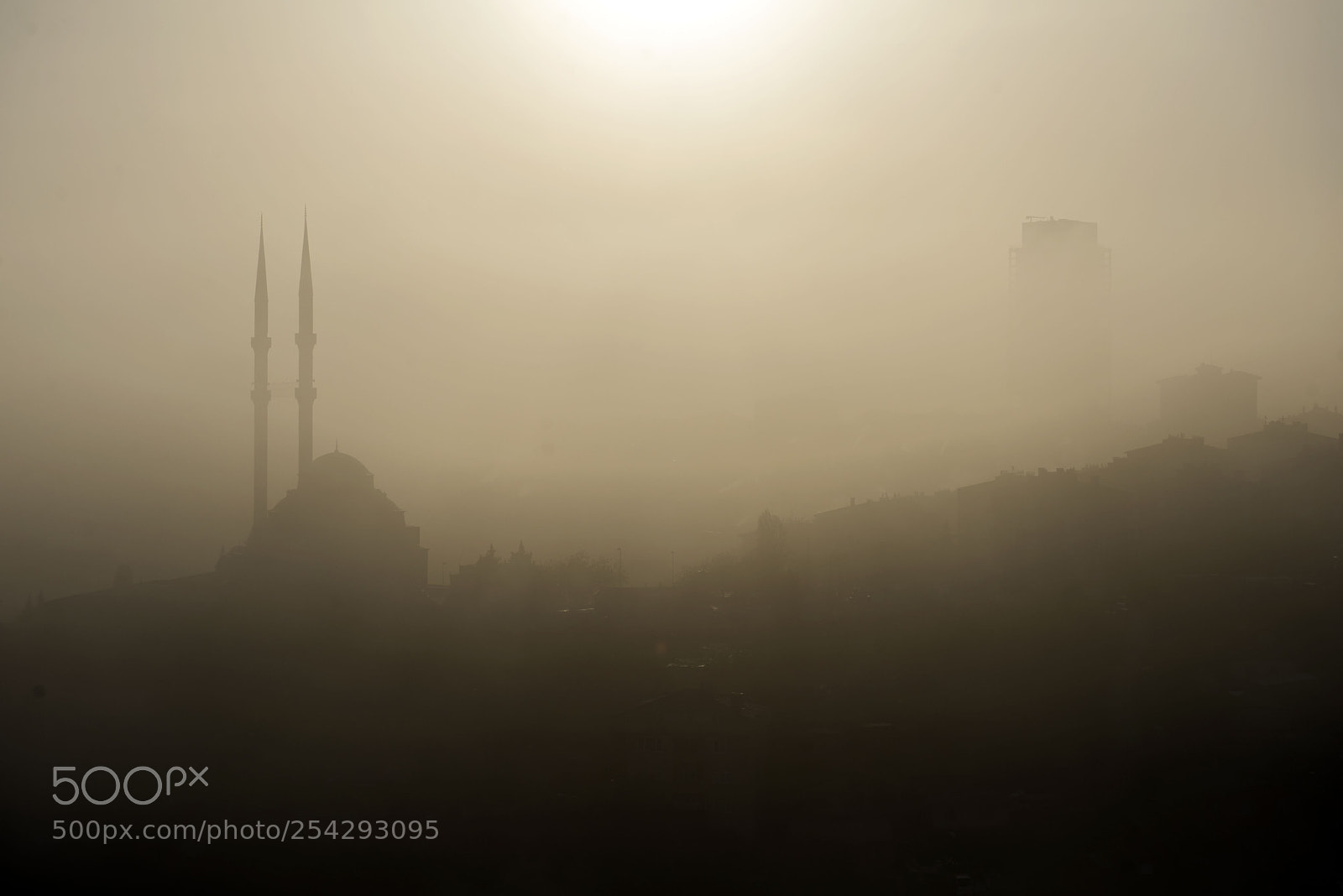 Nikon D610 sample photo. Early morning mist in photography