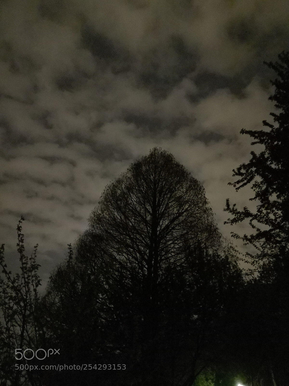HUAWEI Mate 10 Pro sample photo. Mde photography