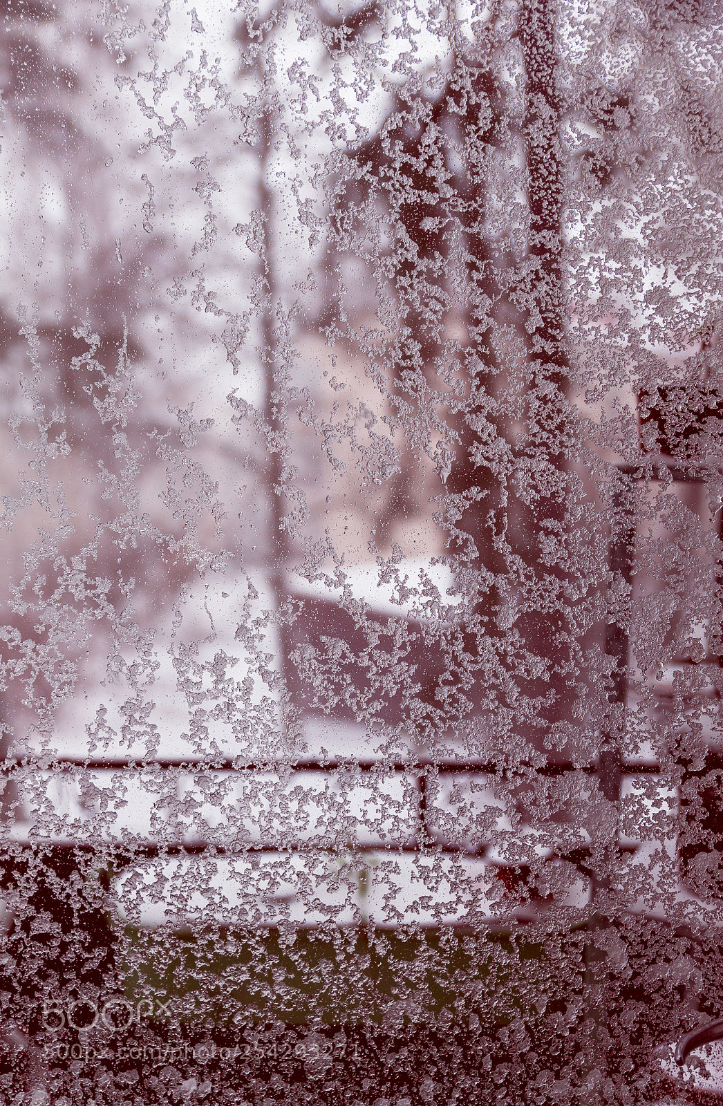 Canon EOS 5D Mark II sample photo. Coming. of. spring. photography
