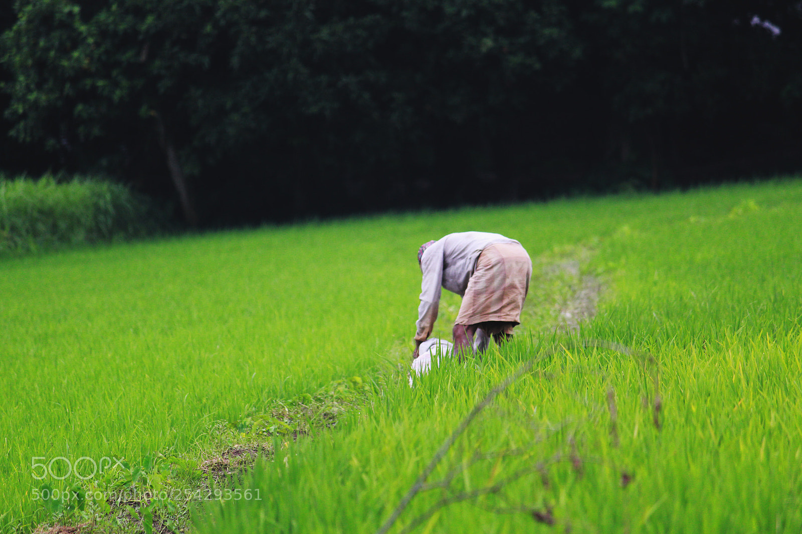 Canon EOS 1300D (EOS Rebel T6 / EOS Kiss X80) sample photo. Man of soil photography