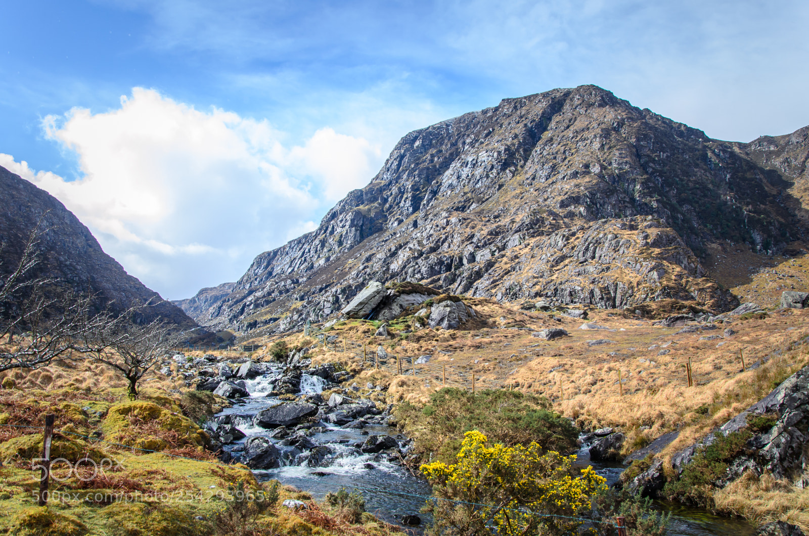 Nikon D5100 sample photo. Ring of kerry photography