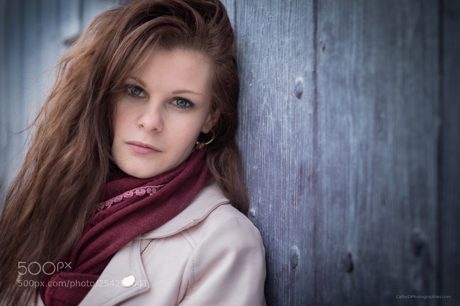 Fujifilm X-T20 sample photo. Leslie couleur photography
