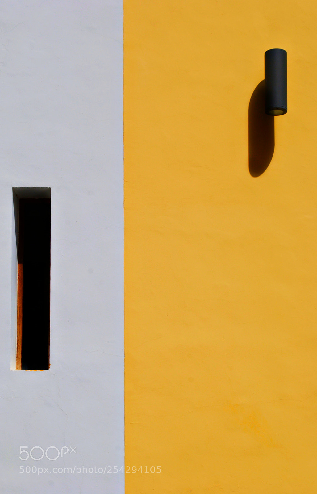 Nikon D40X sample photo. White & yellow photography