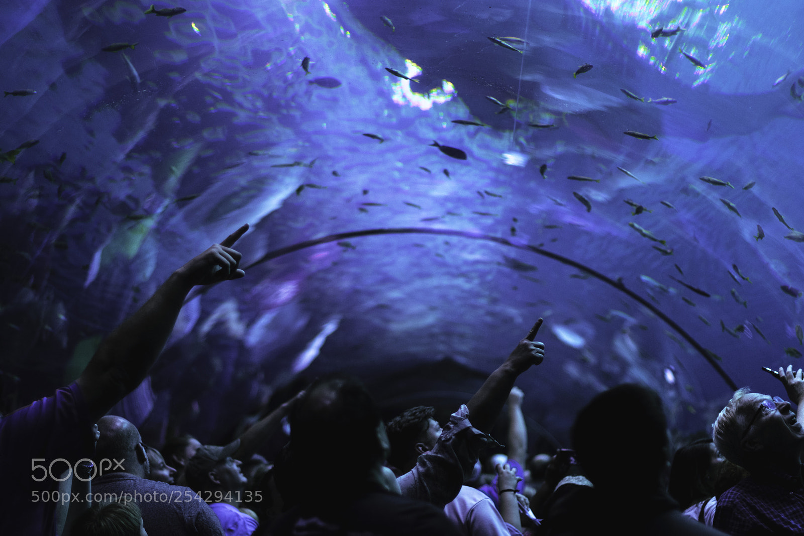Nikon D3300 sample photo. Underwater tunnel pt.2 photography