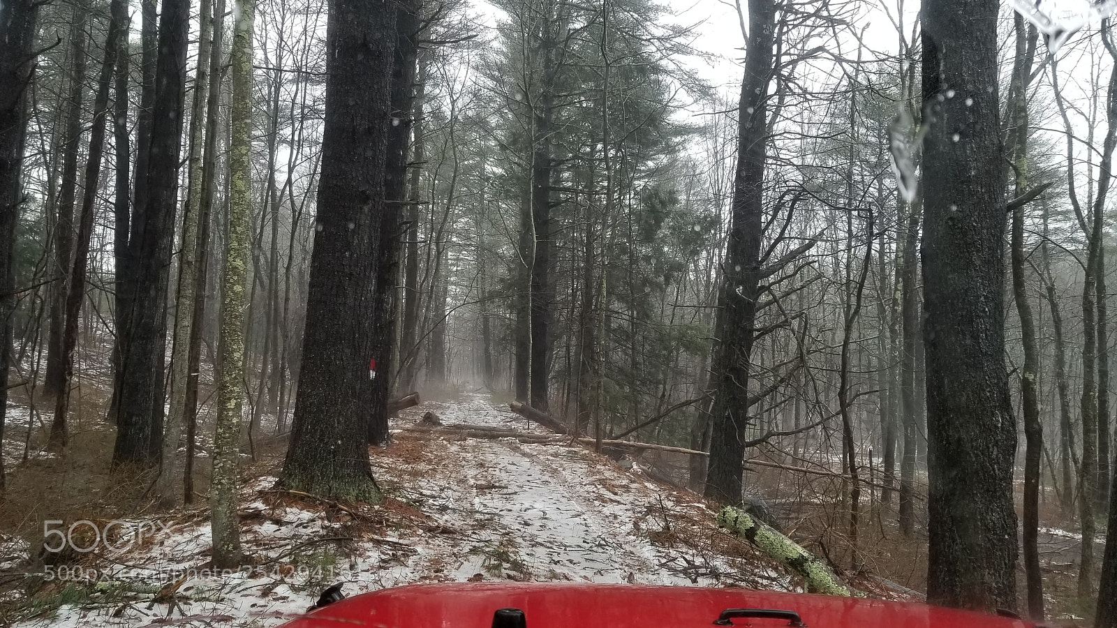Samsung Galaxy S8 sample photo. Jeeping around photography